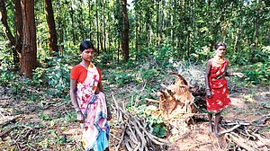 Tribal forest dwellers of Jagdalpur, Chhattisgarh