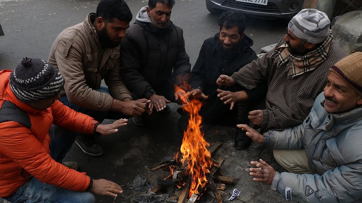 Yellow alert for cold wave in five Rajasthan districts