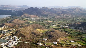 Haryana’s forested area in the Aravallis lies in low-elevation zones, seldom reaching 100 m