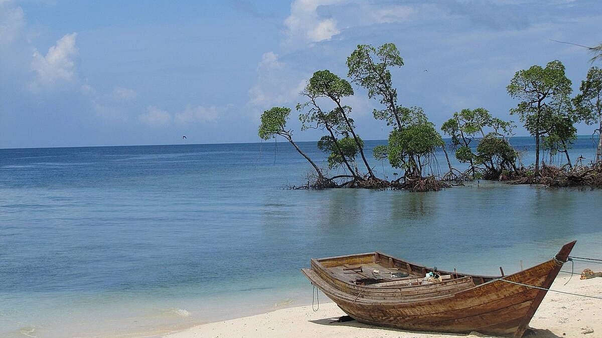 Andaman and Nicobar Islands together cover a total land area of nearly 8,249 square kilometres.