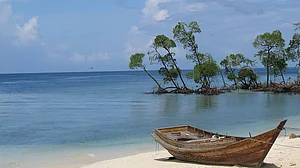 Andaman and Nicobar Islands together cover a total land area of nearly 8,249 square kilometres.