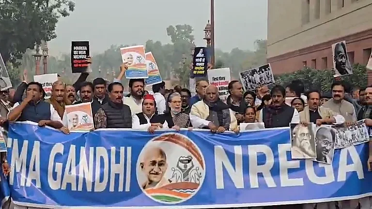 MPs protest in Parliament.