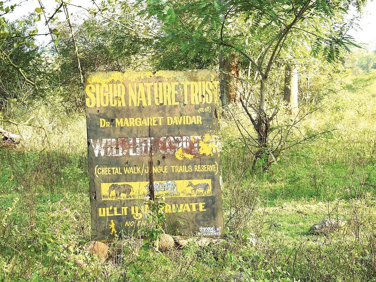 Cheetal Walk, along the Sigurhalla stream