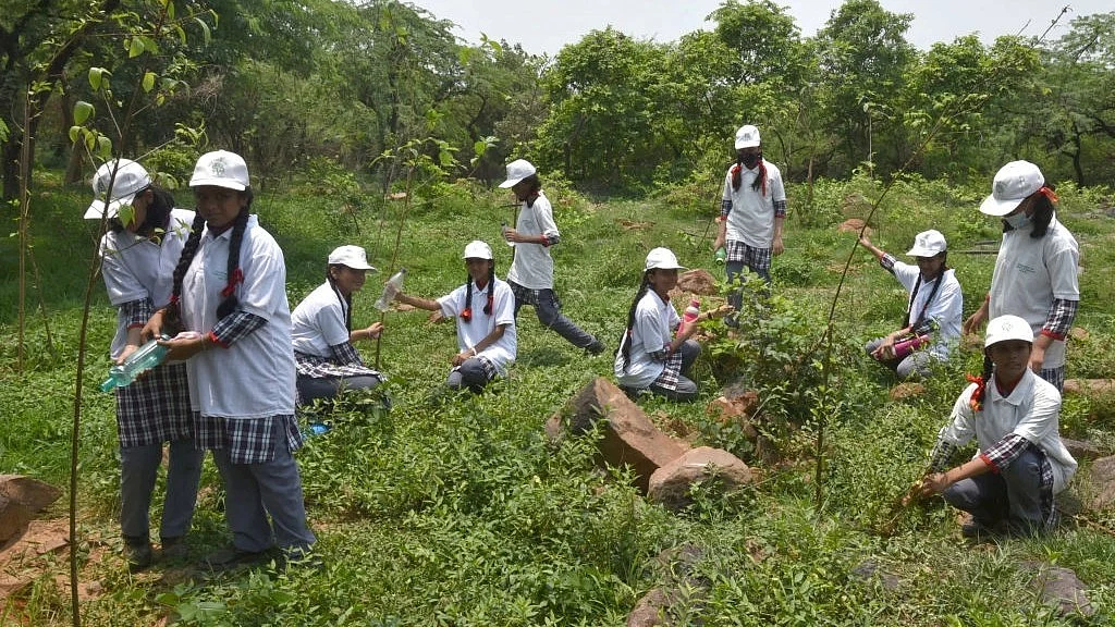 Delhi's central ridge forest is an extension of the Aravallis (File photo: Getty Images)