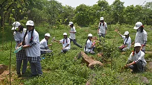 Delhi's central ridge forest is an extension of the Aravallis (File photo: Getty Images)