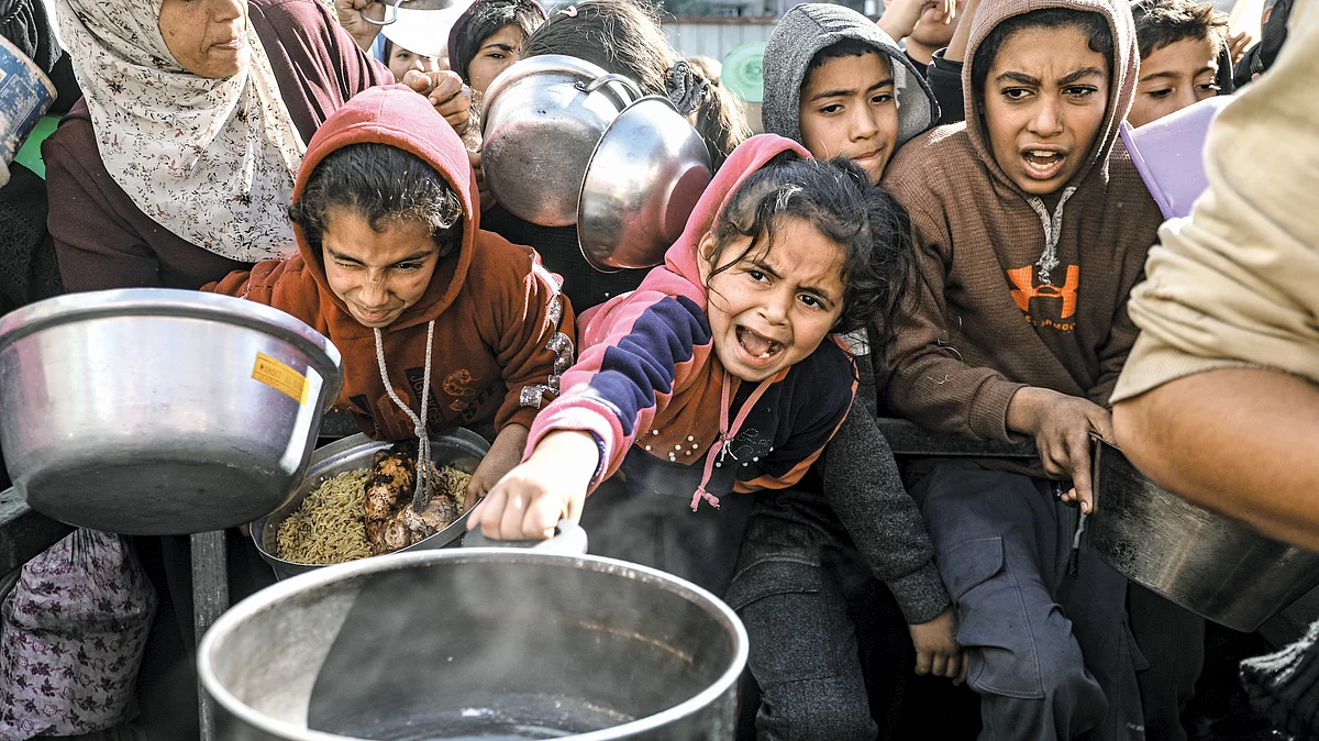 Scrabbling for food aid in Palestine