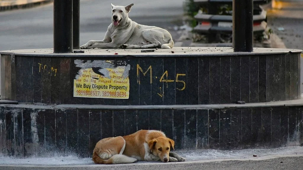 Teachers' associations ask why animal welfare departments are not handling the matter 