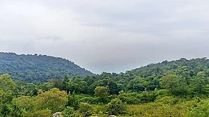 Tamil Nadu expands reserved forest network across 10 districts