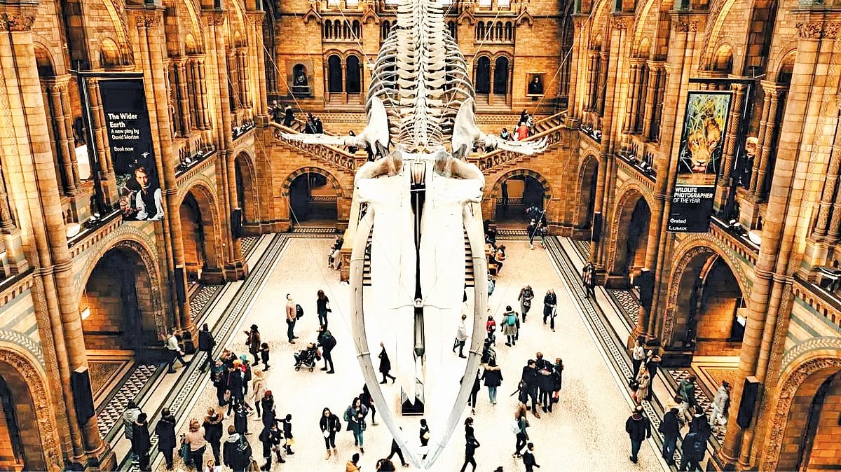 Inside the British Museum