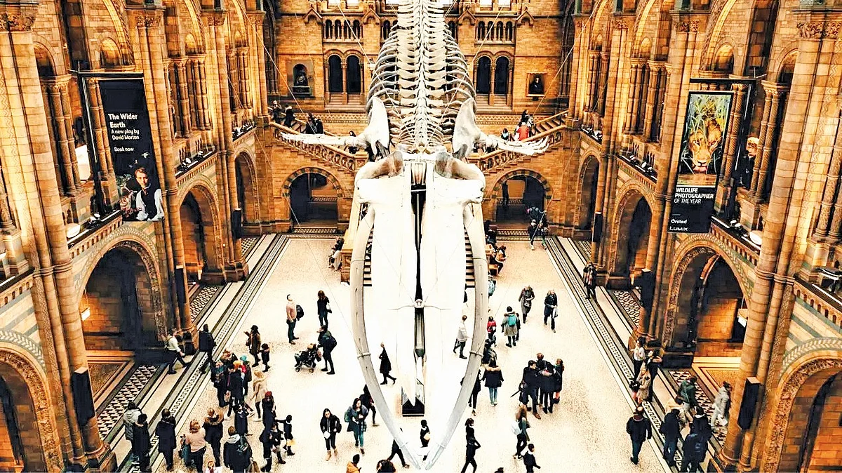 London Diary: The British Museum’s ‘decolonisation’ decoy