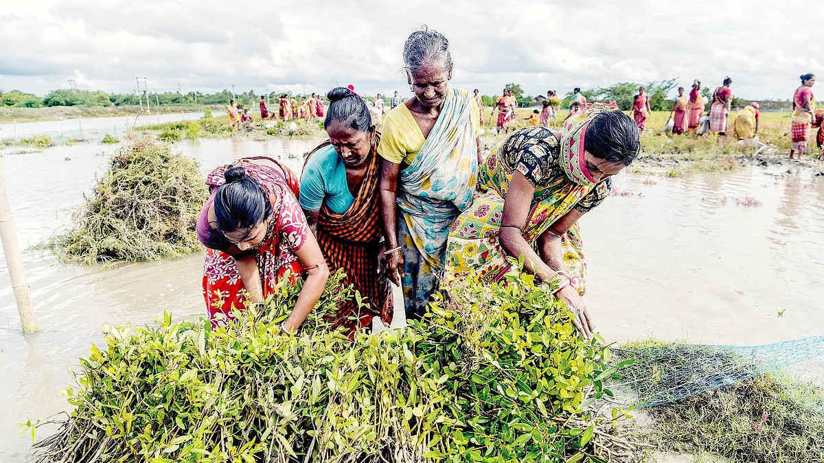 Who cares for India’s workers?