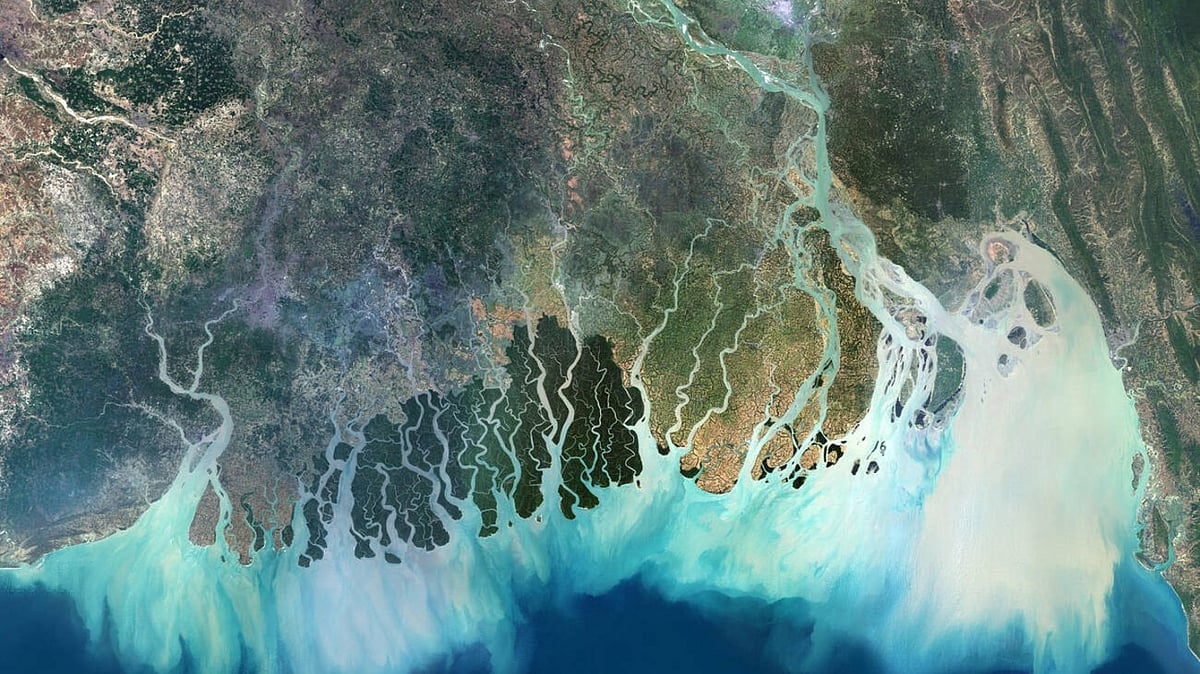 Satellite image of the Ganges delta