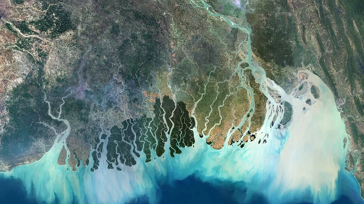 Satellite image of the Ganges delta