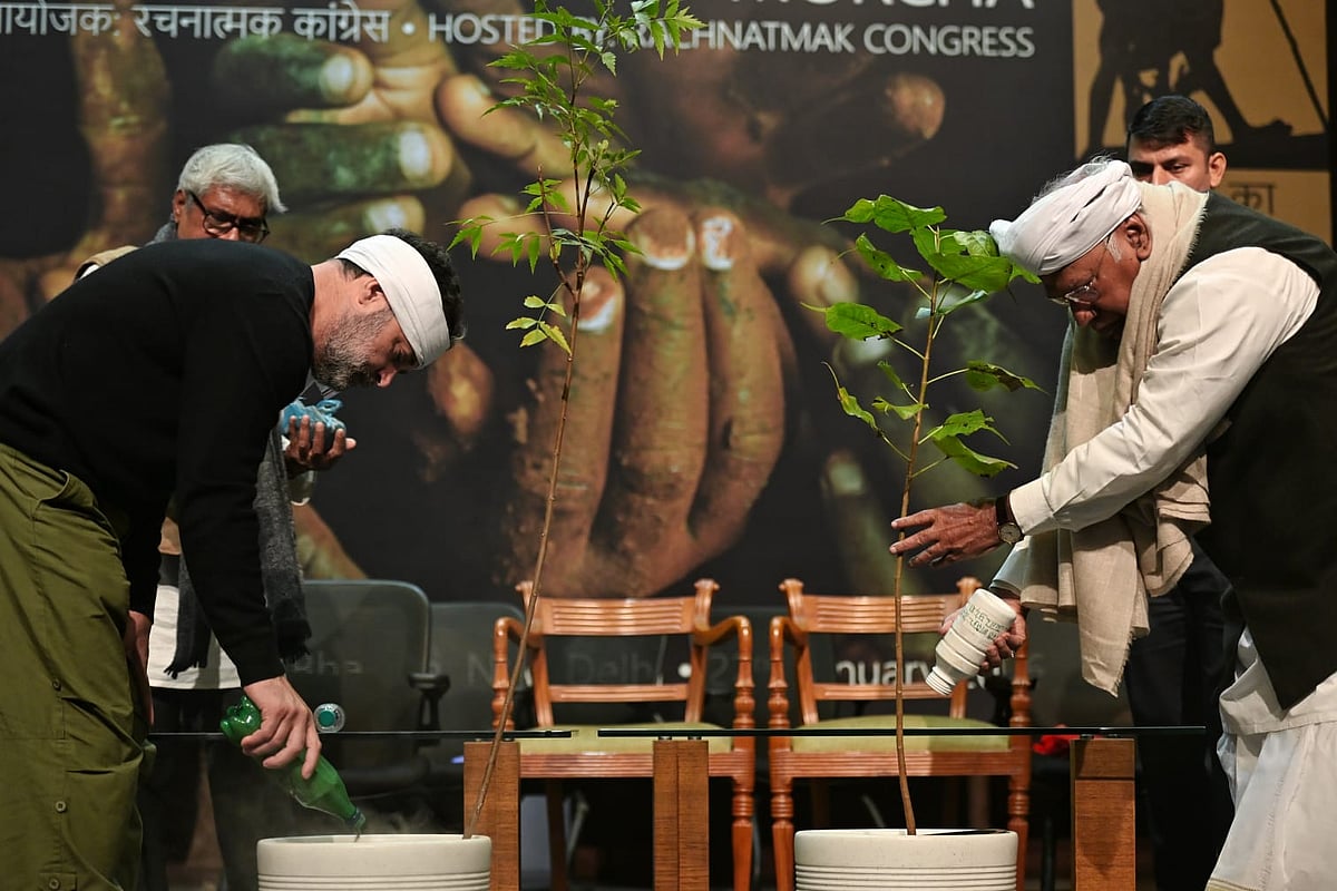 Rahul Gandhi and Mallikarjun Kharge plant the saplings 