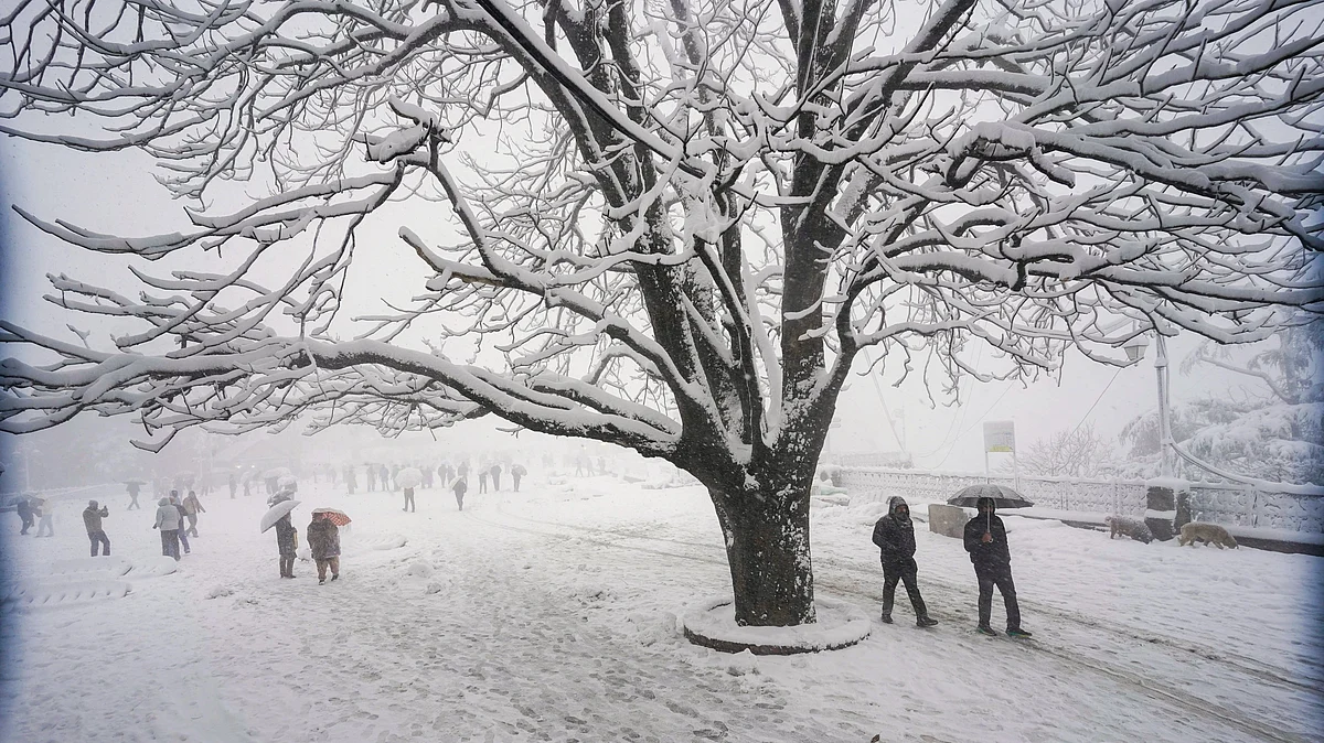 People walk on a snow-covered road, in Shimla, 23 Jan