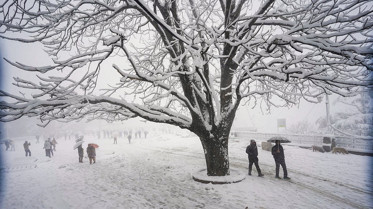 People walk on a snow-covered road, in Shimla, 23 Jan