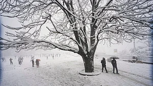 People walk on a snow-covered road, in Shimla, 23 Jan