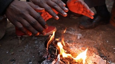 Winter firewood use linked to higher air pollution and early deaths: Study