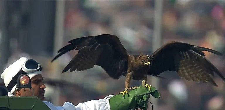 Raptors join the marching contingent at Republic Day