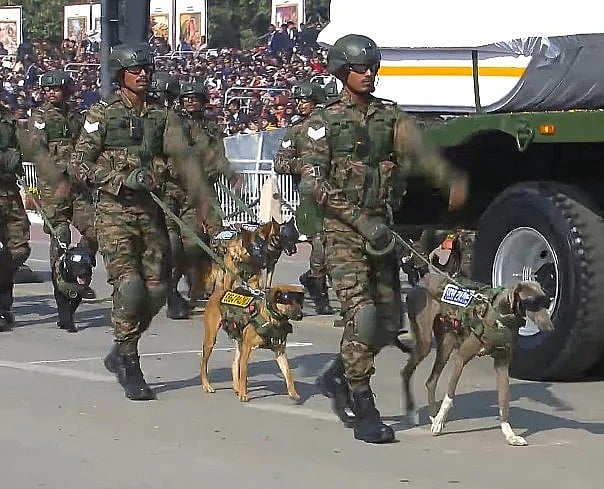 Army dogs at the Republic Day parade