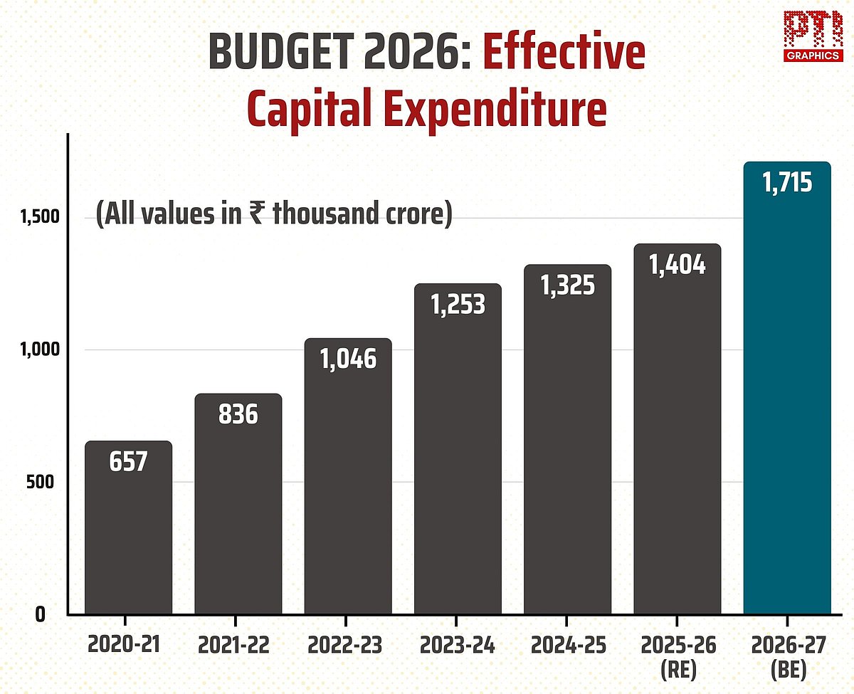 The Budget keeps capex going and tries to orient policy toward skills