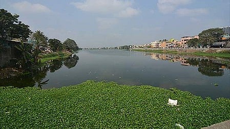 Sewage discharge pollutes Velachery Lake; residents allege official apathy