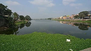 Representative image of polluted Velachery lake.