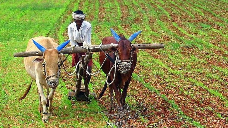 Indo-US trade deal harmful to Maharashtra farmers: Congress leader