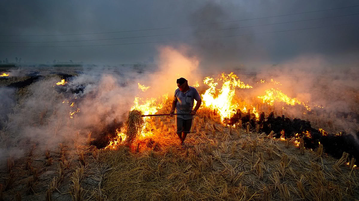 File photo of stubble burning near Amritsar, Punjab