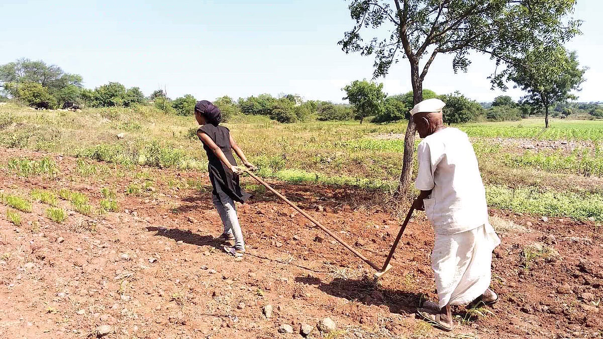 At 80, Manohar Gite had to return to manual farm work
