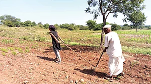 At 80, Manohar Gite had to return to manual farm work