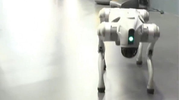 Screenshot of the China-made robodog