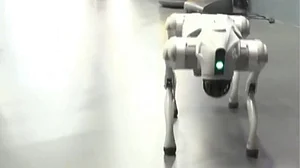 Screenshot of the China-made robodog