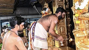 Sabarimala gold theft case: Temple tantri claims political vendetta after bail