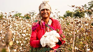 Low yields and high-cost technology aggravated farmers’ distress after BT cotton entered India