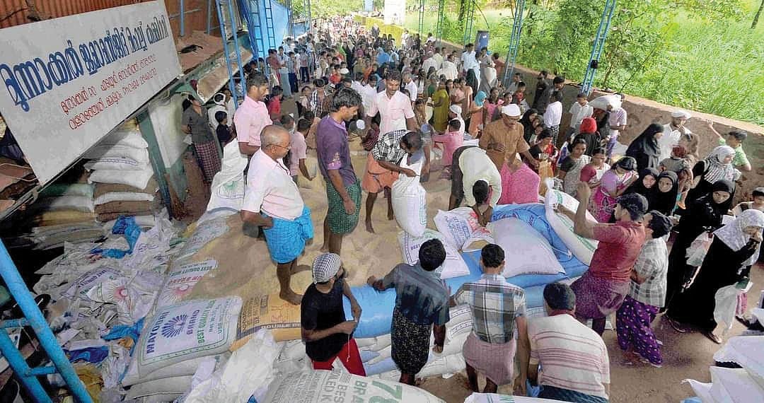 The coconut tree that refused to fall