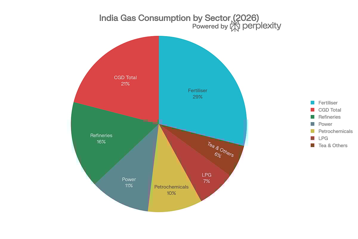 Government adjusts domestic gas allocation to prioritise LPG, CNG 