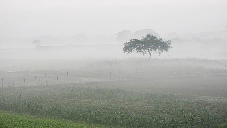 December in March spells doom 