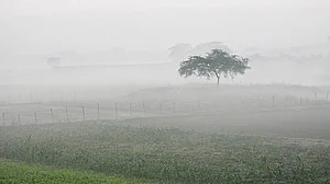 When seasons no longer matter