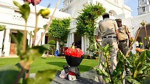The bouquet placed in front of the speaker's office