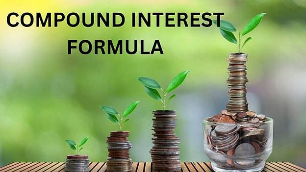 How a Compound Interest Calculator Helps Maximize Your Investments