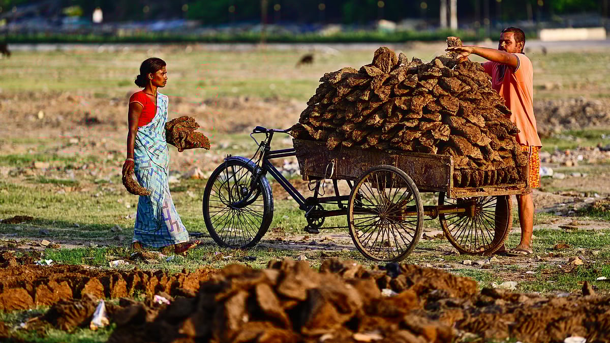 Farmers load cow dung cakes on a cart amid the ongoing LPG crisis, in Prayagraj, Uttar Pradesh