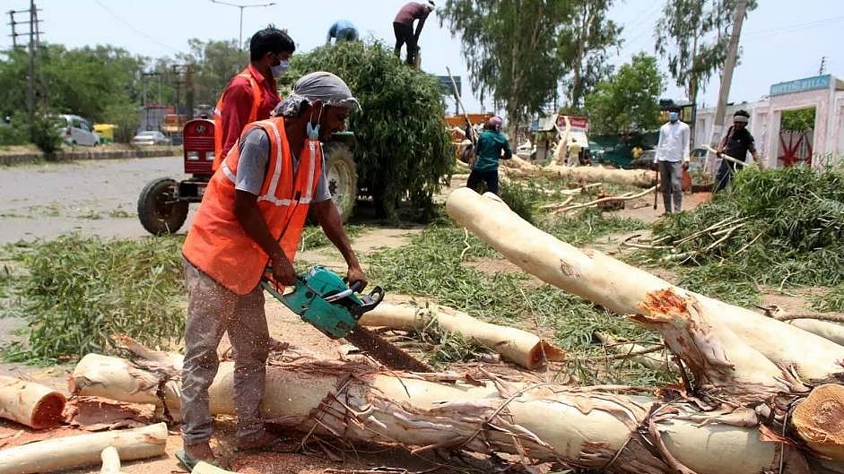 Satellite imagery indicated that trees had been felled without requisite approvals