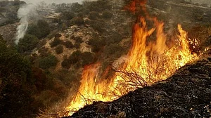 Wildfire in northeast Japan spreads to nearly 1,200 hectares