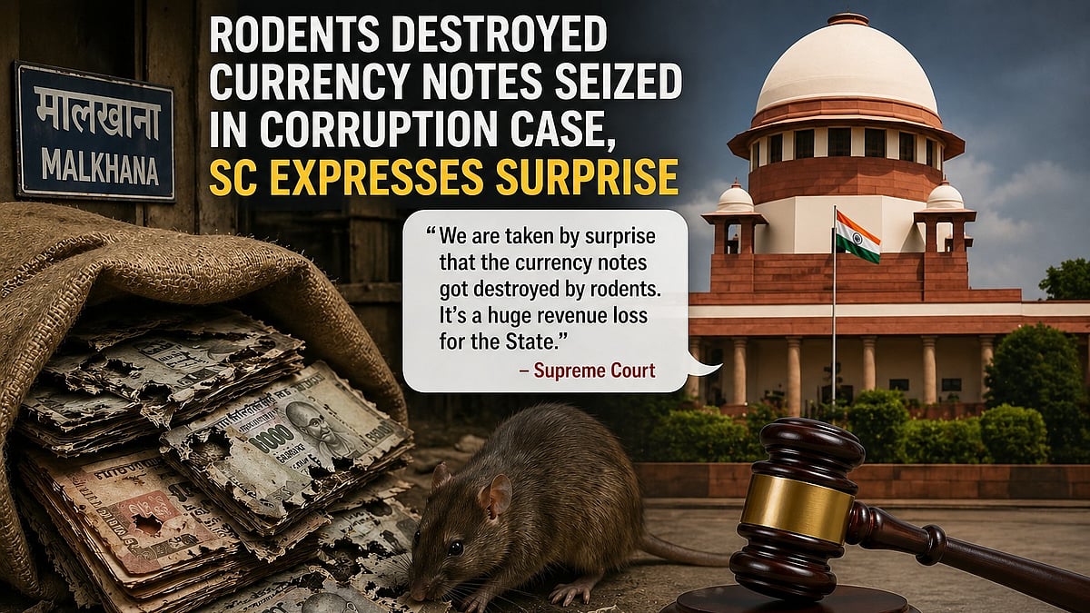 ‘Huge revenue loss’: SC surprised over rodents destroying seized cash in Bihar case 