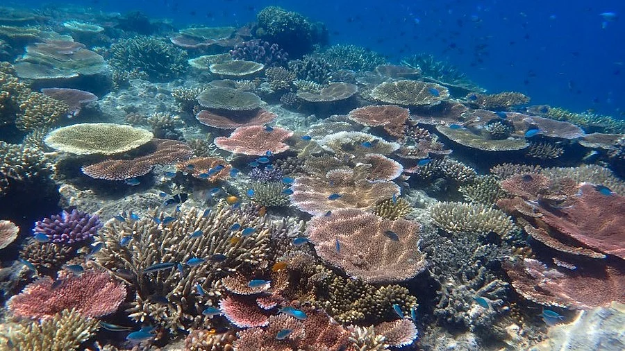 Representational photo.