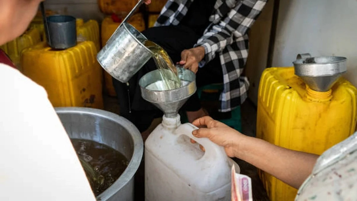 Govt waives duty and agri cess on crude soya bean, sunflower oil