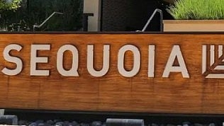 Sequoia Capital cuts its crypto fund by over 65% in funding winter