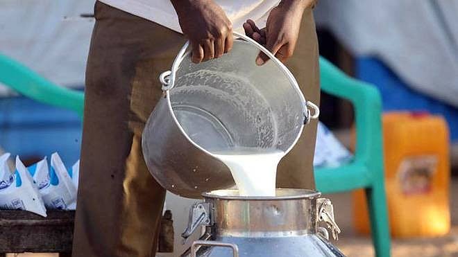 Andhra Pradesh Milk Poisoning Kills 16 People