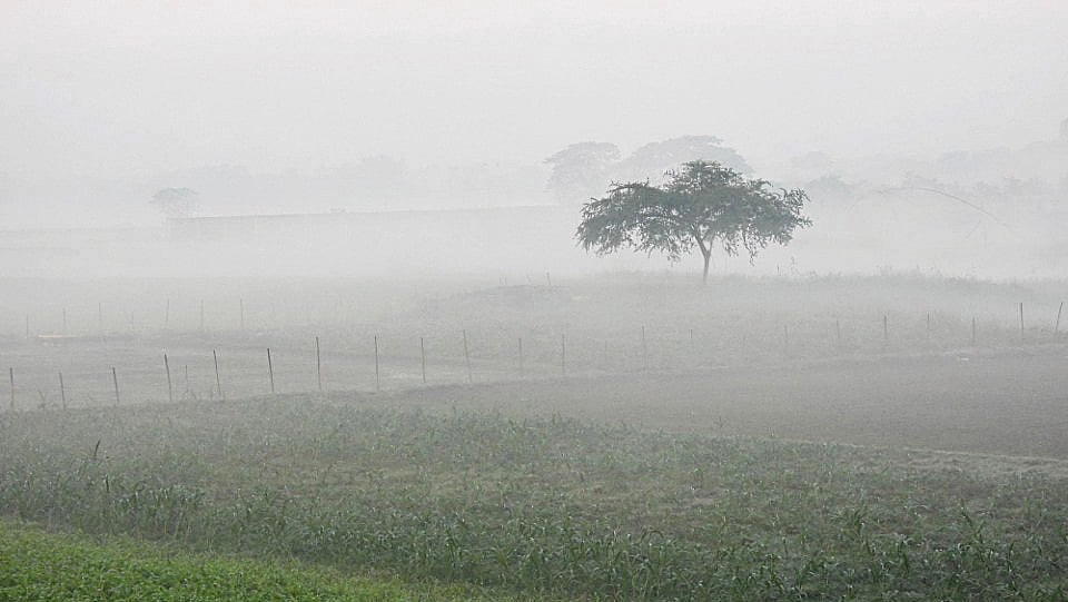 North India Fog Alert Signals Major Climate Change Crisis